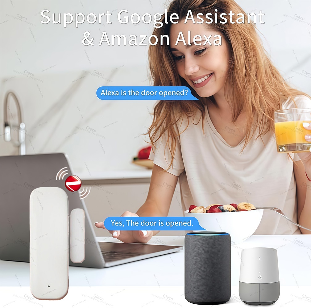 Zigbee 窓ドアセンサー検出磁気窓センサードア開閉アラー - Home Automation Ideas のレビューと価格
